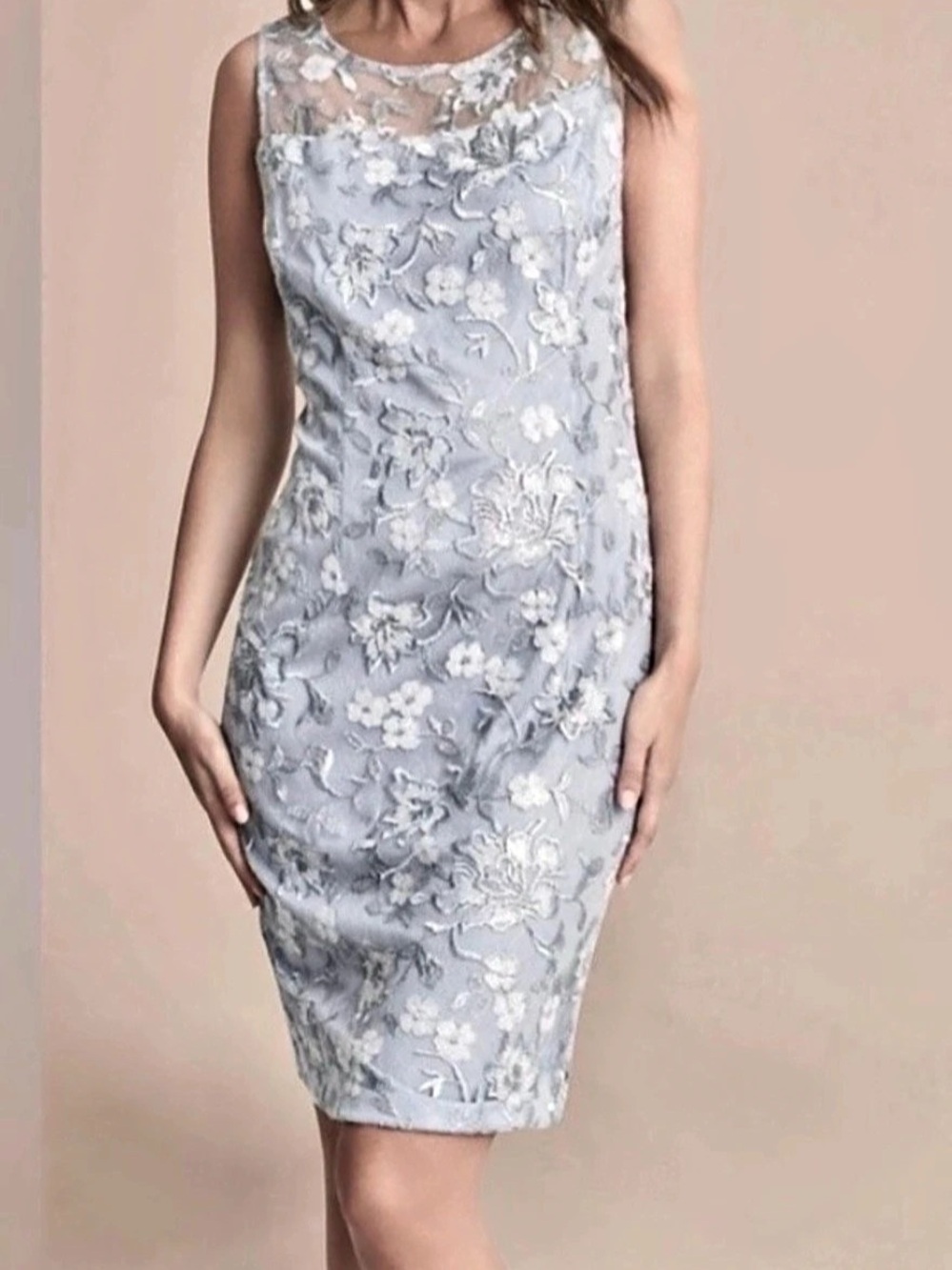 Alex Evenings Floral Lace Dress in Blue NWT